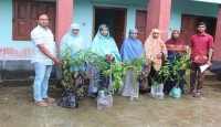 নওগাঁয় ডাসকো ফাউন্ডেশনের উদ্যোগে বৃক্ষ রোপণ কর্মসূচির অনুষ্ঠিত